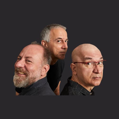 Os Paralamas Do Sucesso