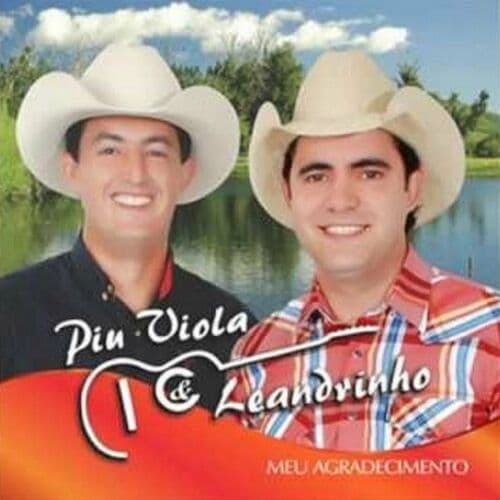 Piu Viola & Leandrinho