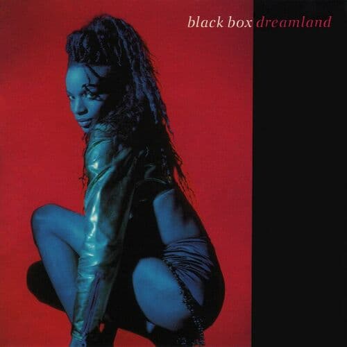 I Don't Know Anybody Else (mix) (1990)