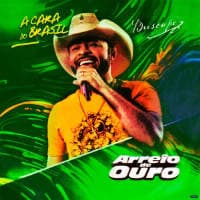 Arreio De Ouro