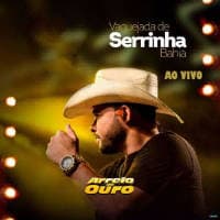 Arreio De Ouro