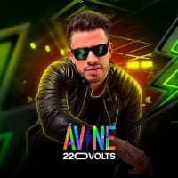 Avine Vinny