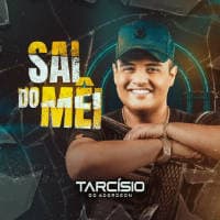 Tarcísio Do Acordeon