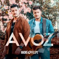 André & Felipe