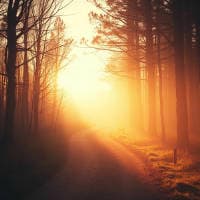 Pastor Alex Do Cavaco