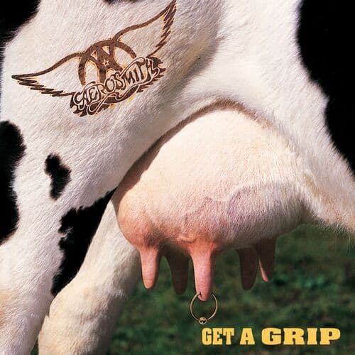 Cryin' (1993)