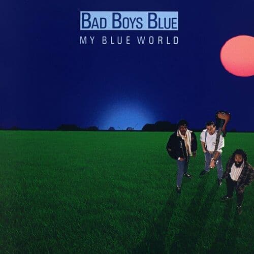 Bad Reputation (1988)
