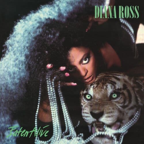 Experience (1985)