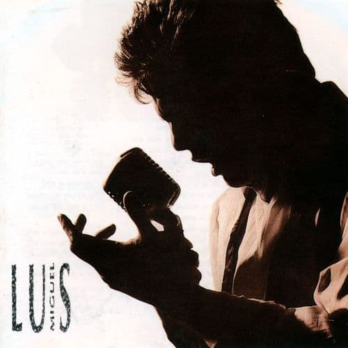 Usted (1991)