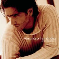 Alejandro Fernandez