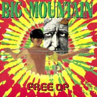 Big Mountain
