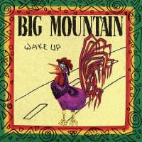 Big Mountain