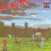 Mr. Mister