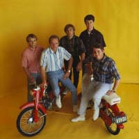 The Beach Boys