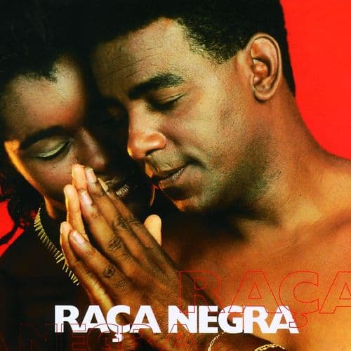 Vida Cigana