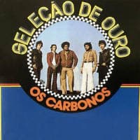 Os Carbonos