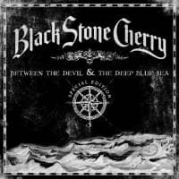Black Stone Cherry