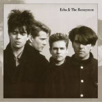 Echo And The Bunnymen