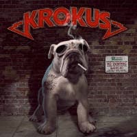Krokus