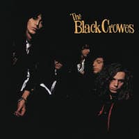 The Black Crowes