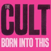 The Cult