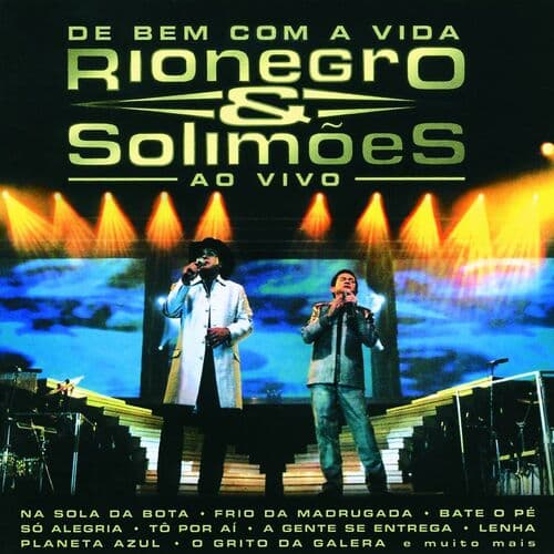 Boiadeiro E Violeiro