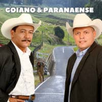 Goiano & Paranaense