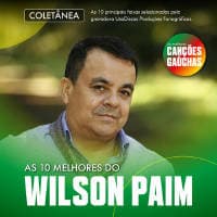 Wilson Paim