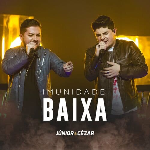 Imunidade Baixa