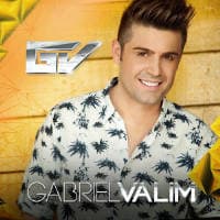 Gabriel Valim